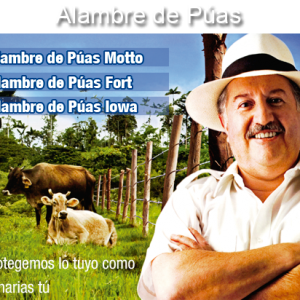alambre de puas