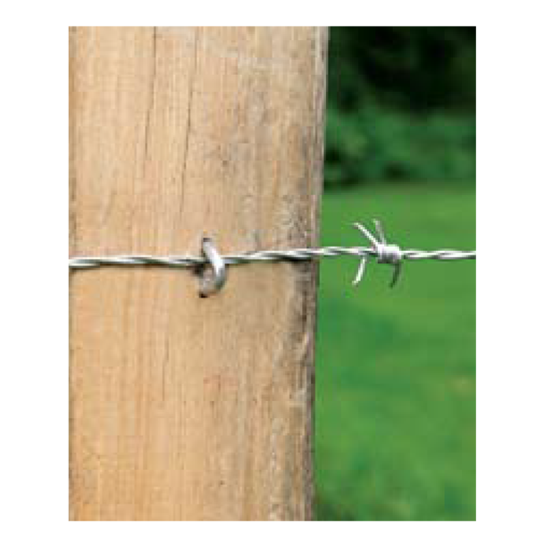 tugalt-riobamba-grapas