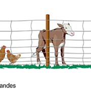 tugalt-riobamba-malla-campera2