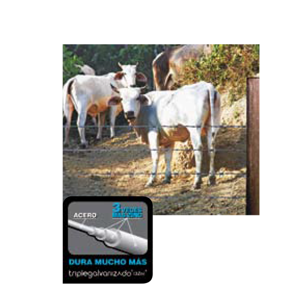 tugalt-riobbamba-alambre-de-puas-ganadero2 tugalt-riobbamba-alambre-de-puas-ganadero2